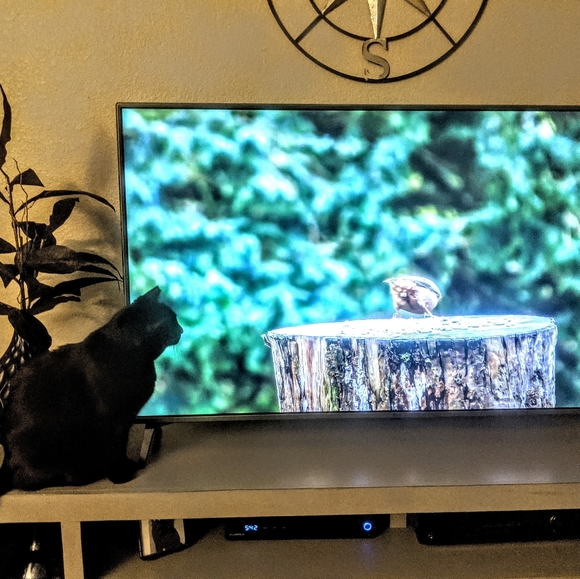 Meet your Posher, Julie - POSH AMBASSADOR! - Picture 2 of 3